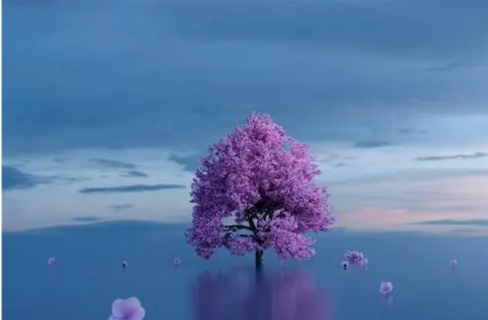 B]@Q51JP3ZW(YZP7{7R8`C7.png